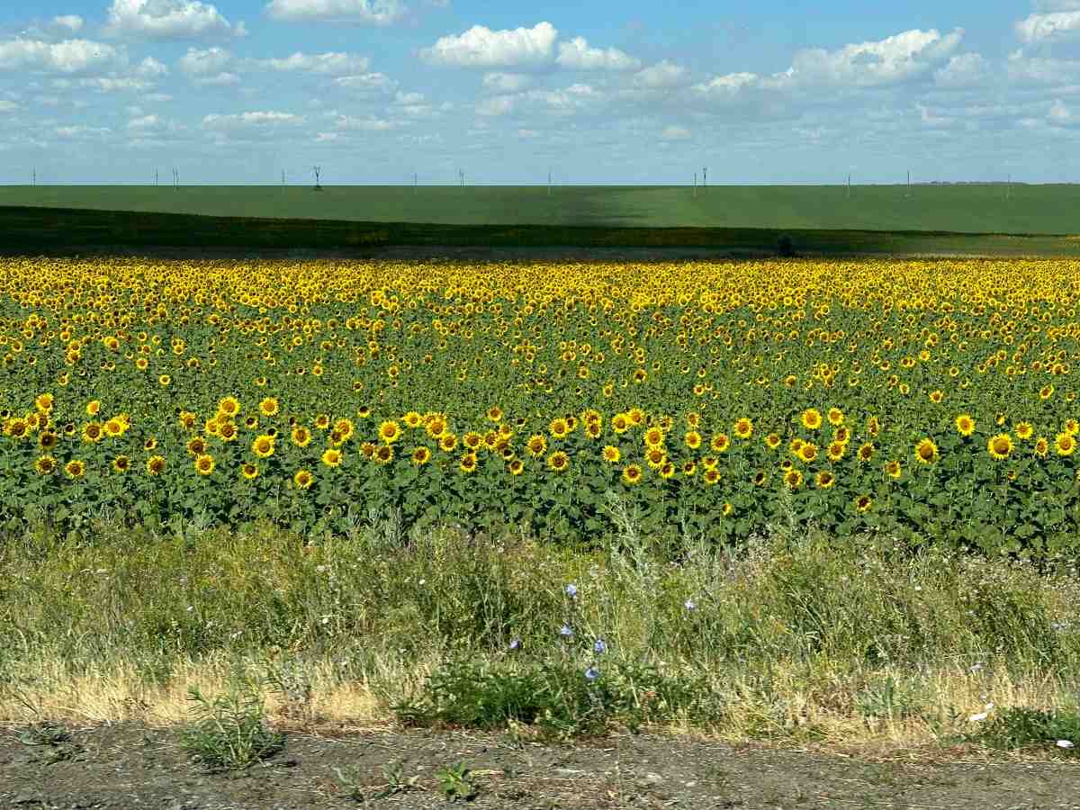 7.100 Kilometer Russland